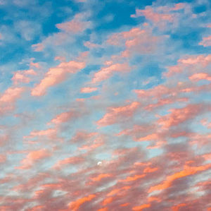 Meet your Posher, Sravya